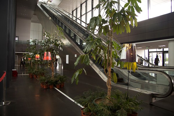 Image 2 of 14