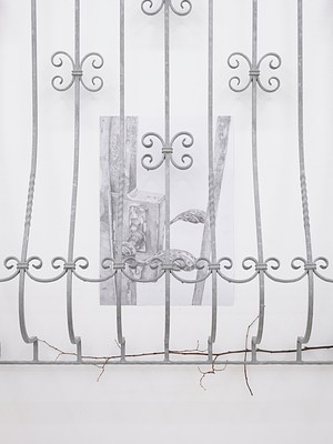 Image 14 of 15
