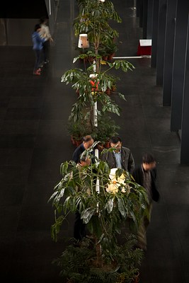 Image 8 of 14