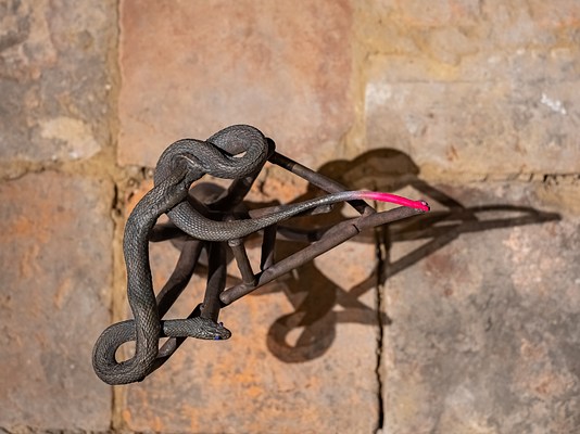 Image 7 of 11