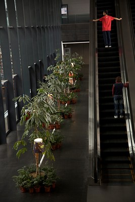 Image 6 of 14