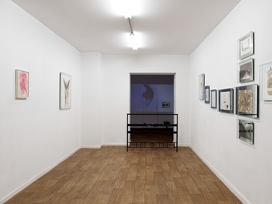 Image 7 of 39