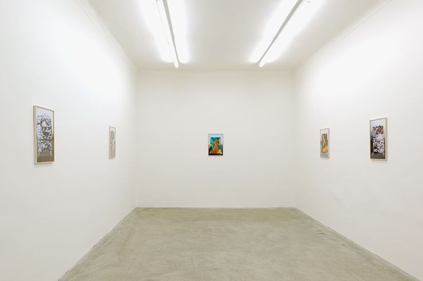 Image 1 of 5