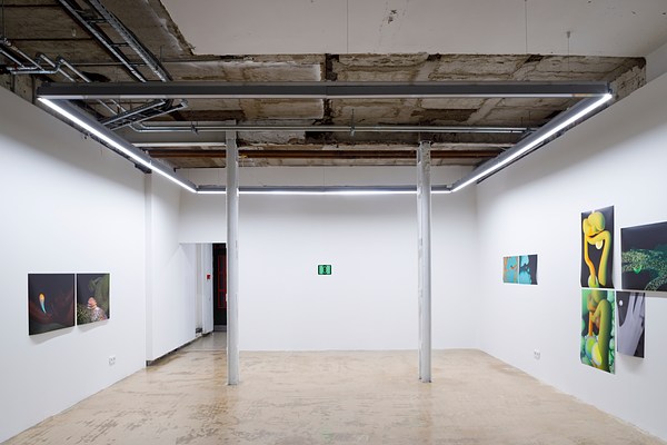 Image 8 of 29