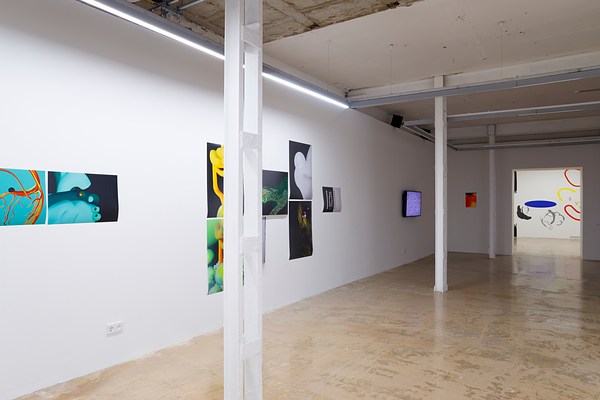 Image 12 of 29