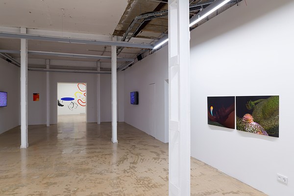 Image 11 of 29