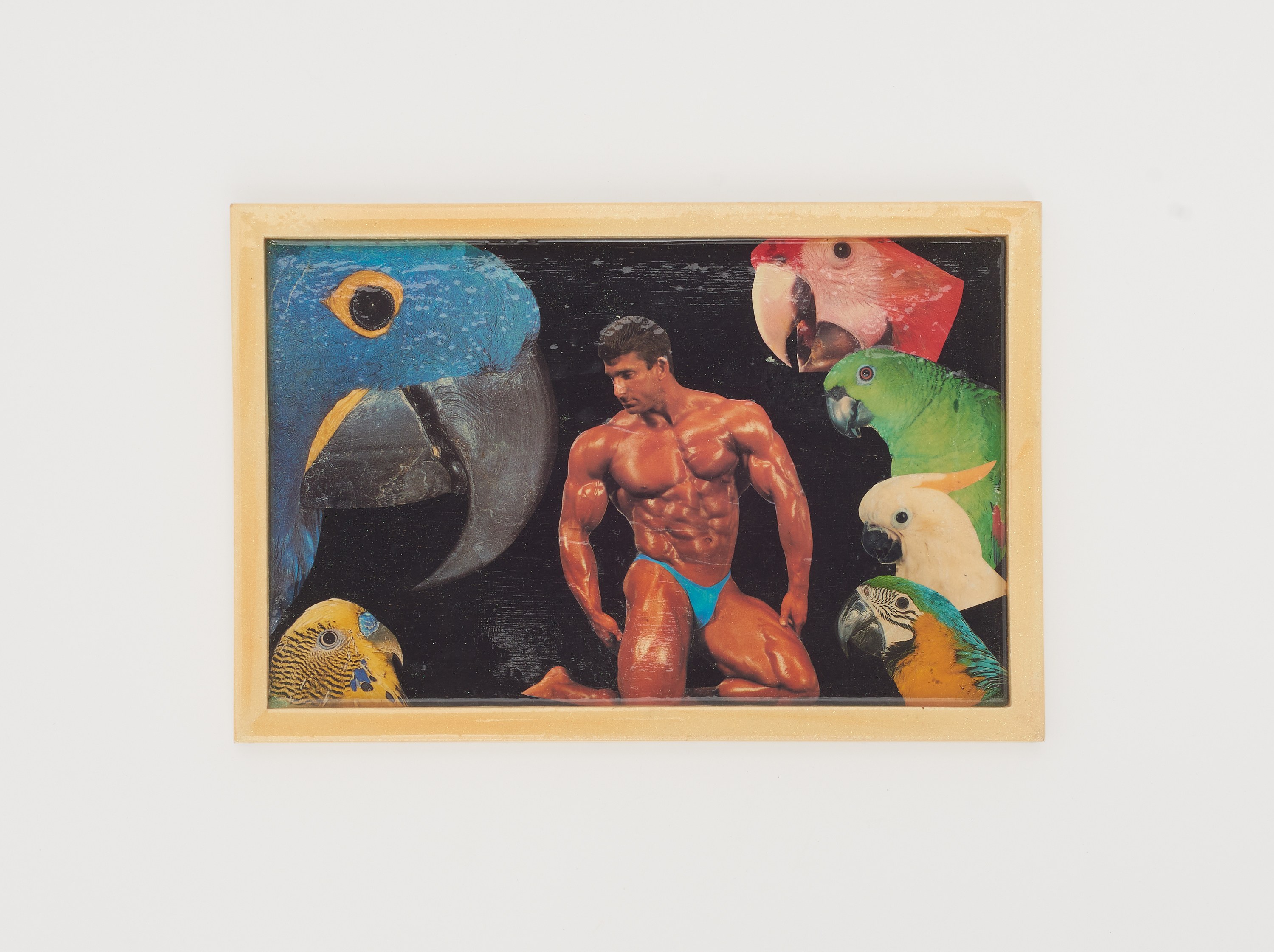 Agosto Machado, The Forbidden City at Gordon Robichaux, photo 46