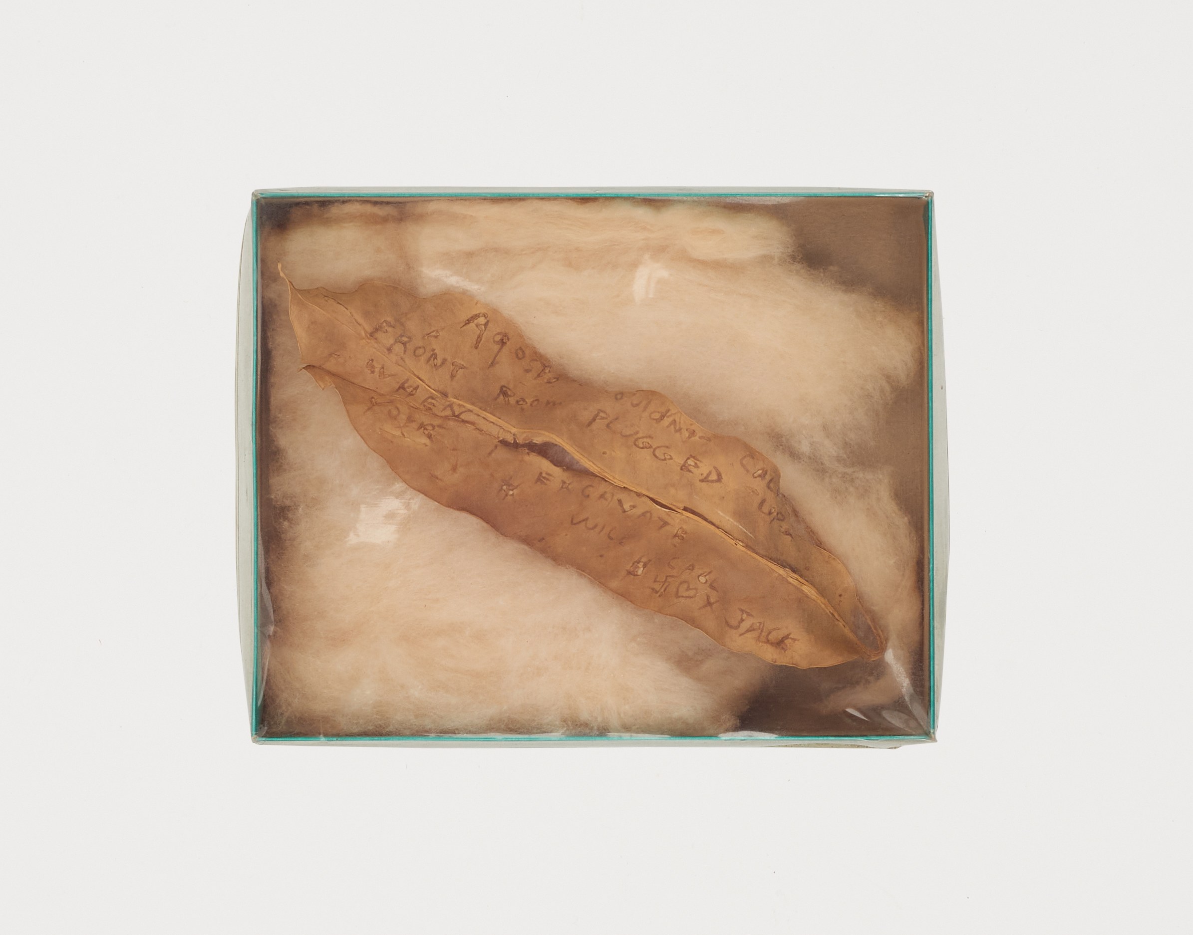 Agosto Machado, The Forbidden City at Gordon Robichaux, photo 65