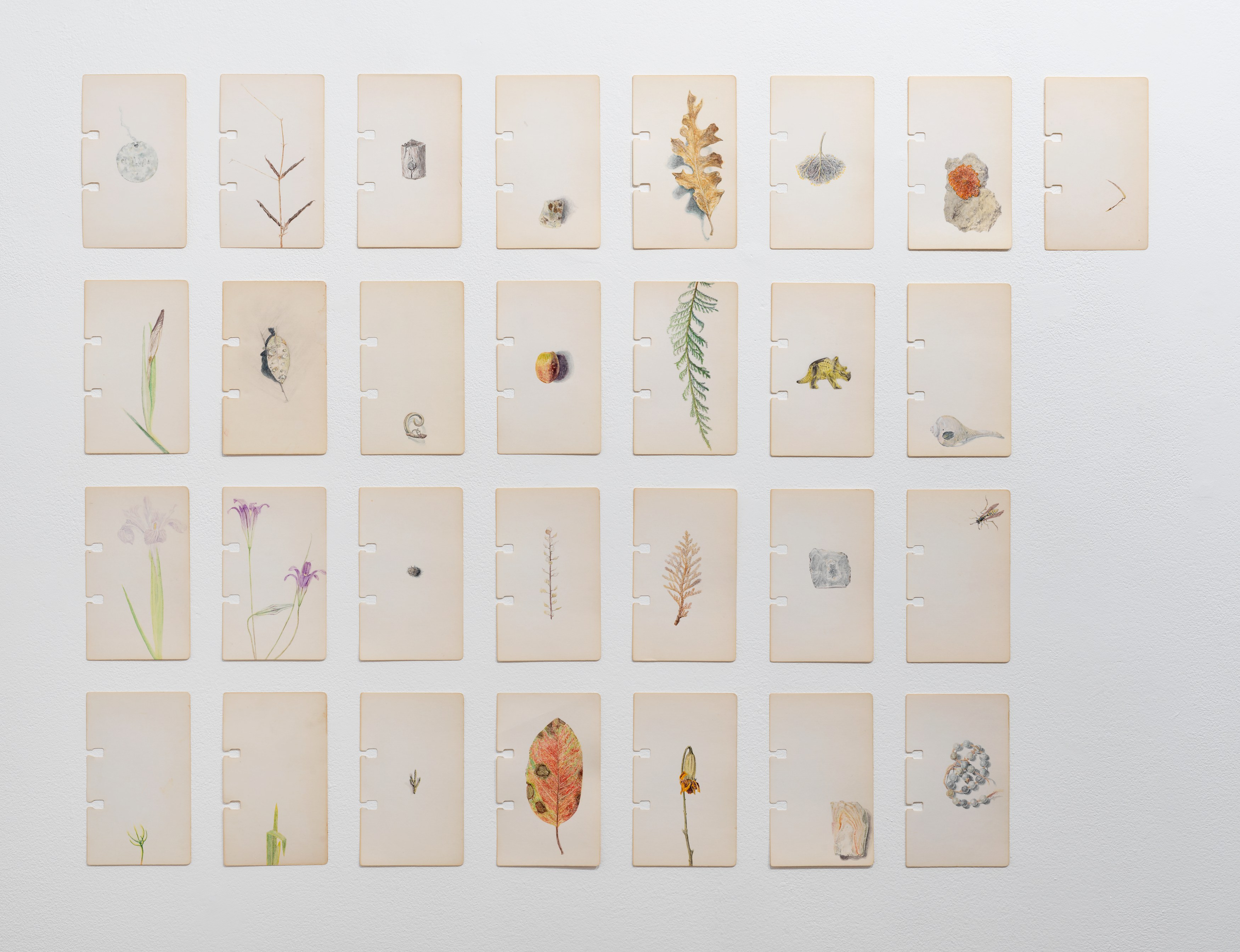 Colter Jacobsen, Fathom at Corvi-Mora, photo 5