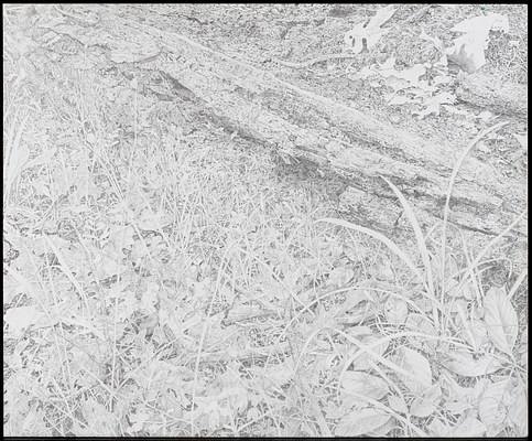 Image 14 of 20