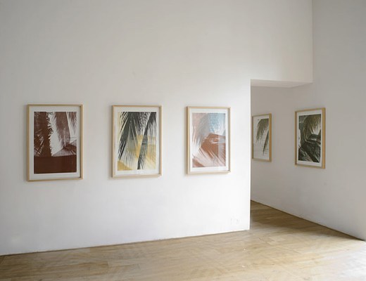 Image 3 of 17