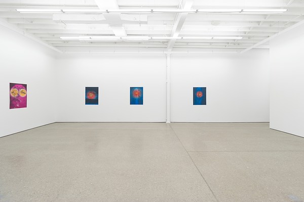 Image 4 of 41