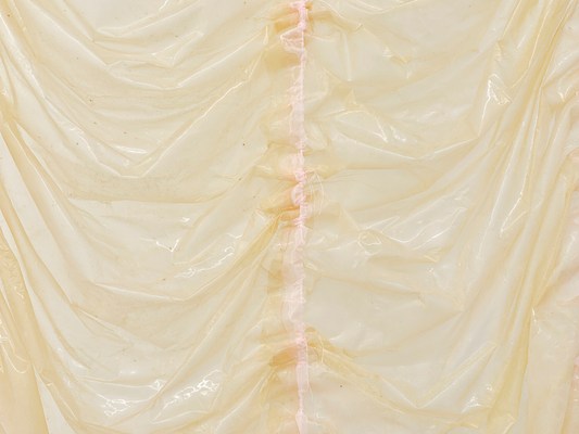 Image 12 of 35