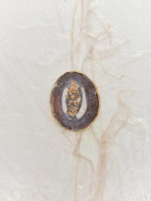 Image 25 of 35