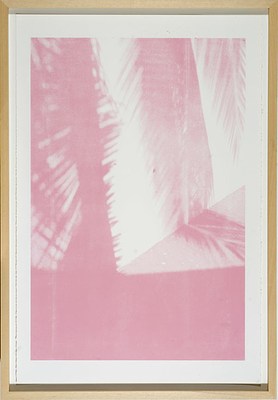Image 7 of 17