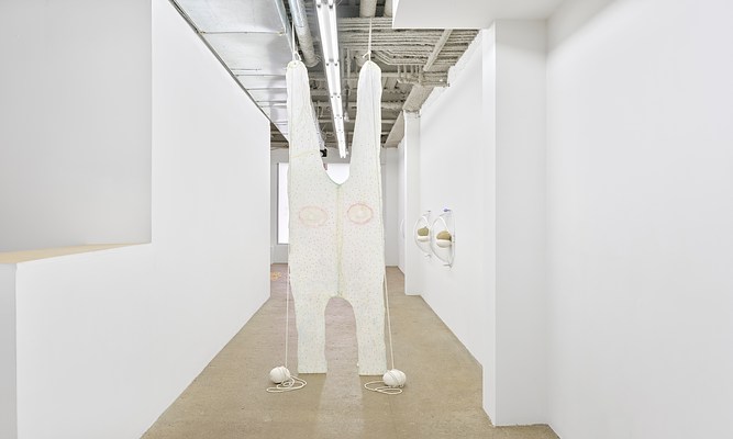 Image 10 of 35