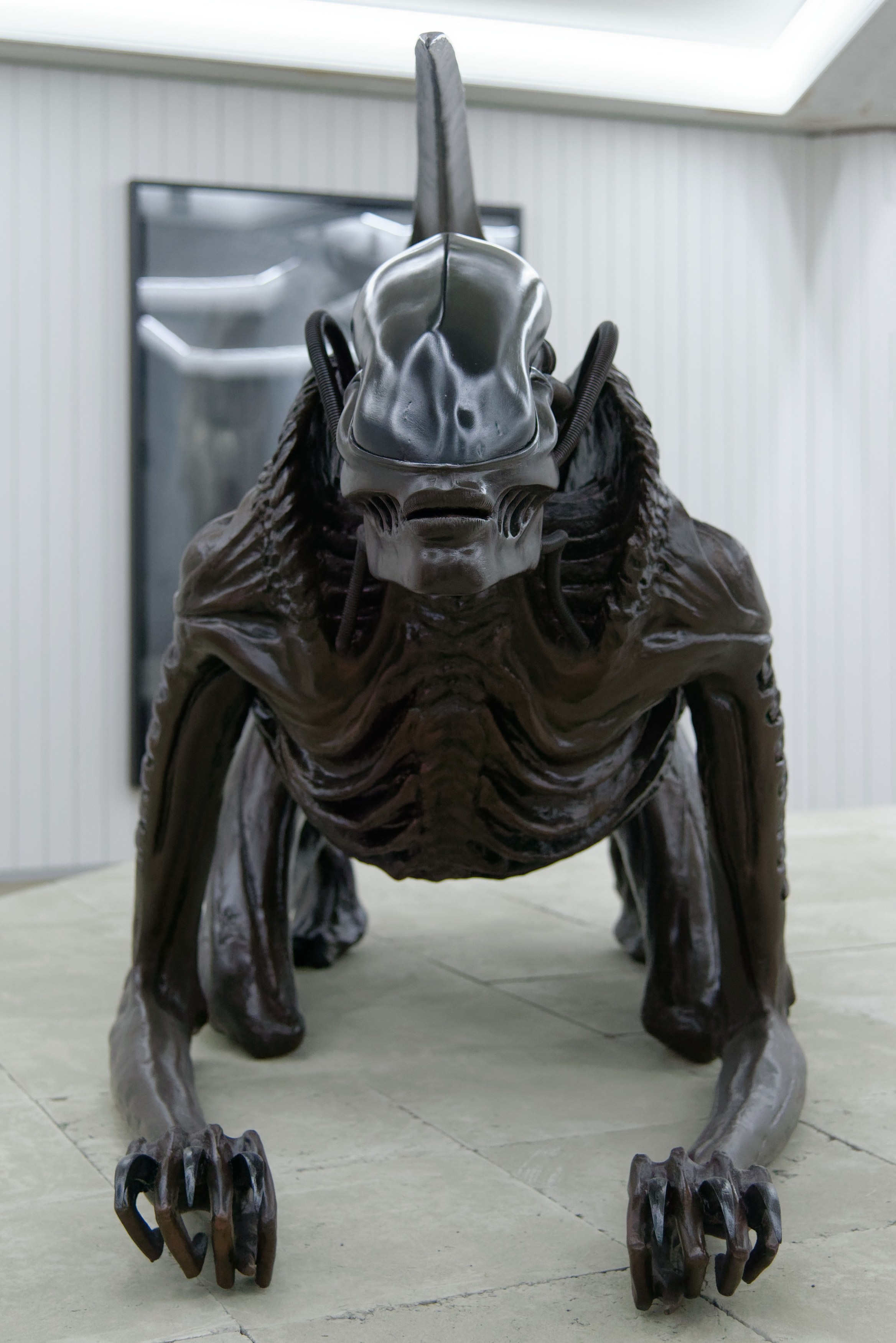 Hans Bellmer, H.R. Giger, Untitled at Schinkel Pavillon, photo 8