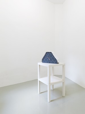 Image 4 of 21
