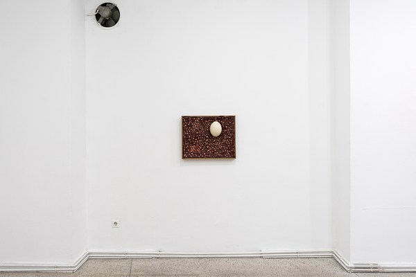 Image 5 of 15