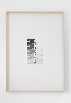 Image 12 of 19
