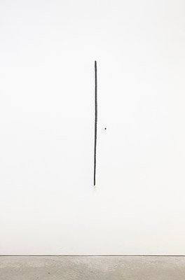 Image 8 of 22