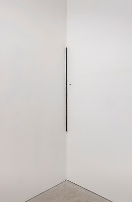 Image 12 of 22