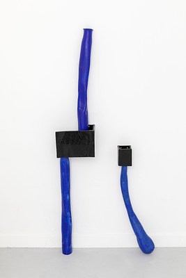 Image 9 of 21
