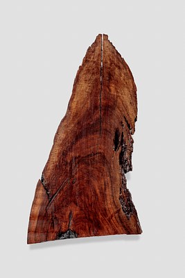 Image 19 of 32