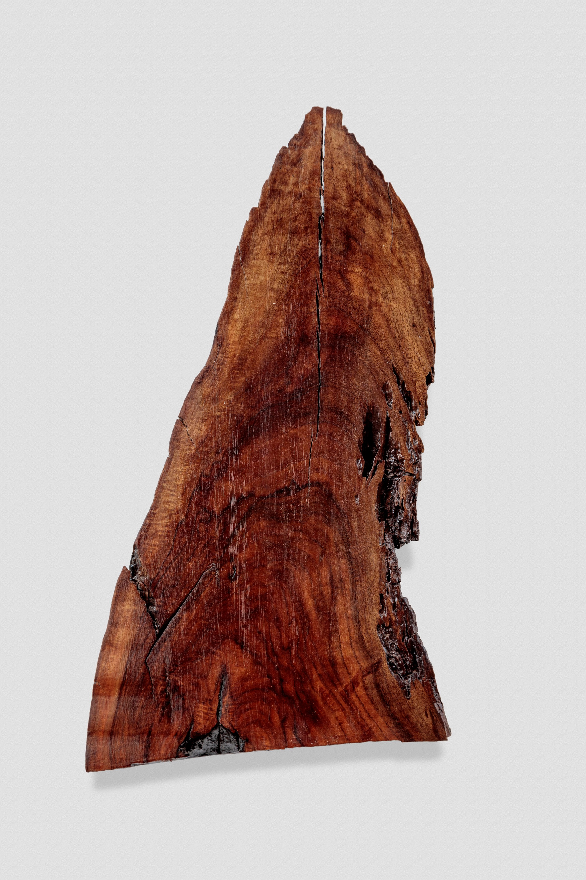 Eric Wesley, Timbuctoo at Pio Pico, photo 19