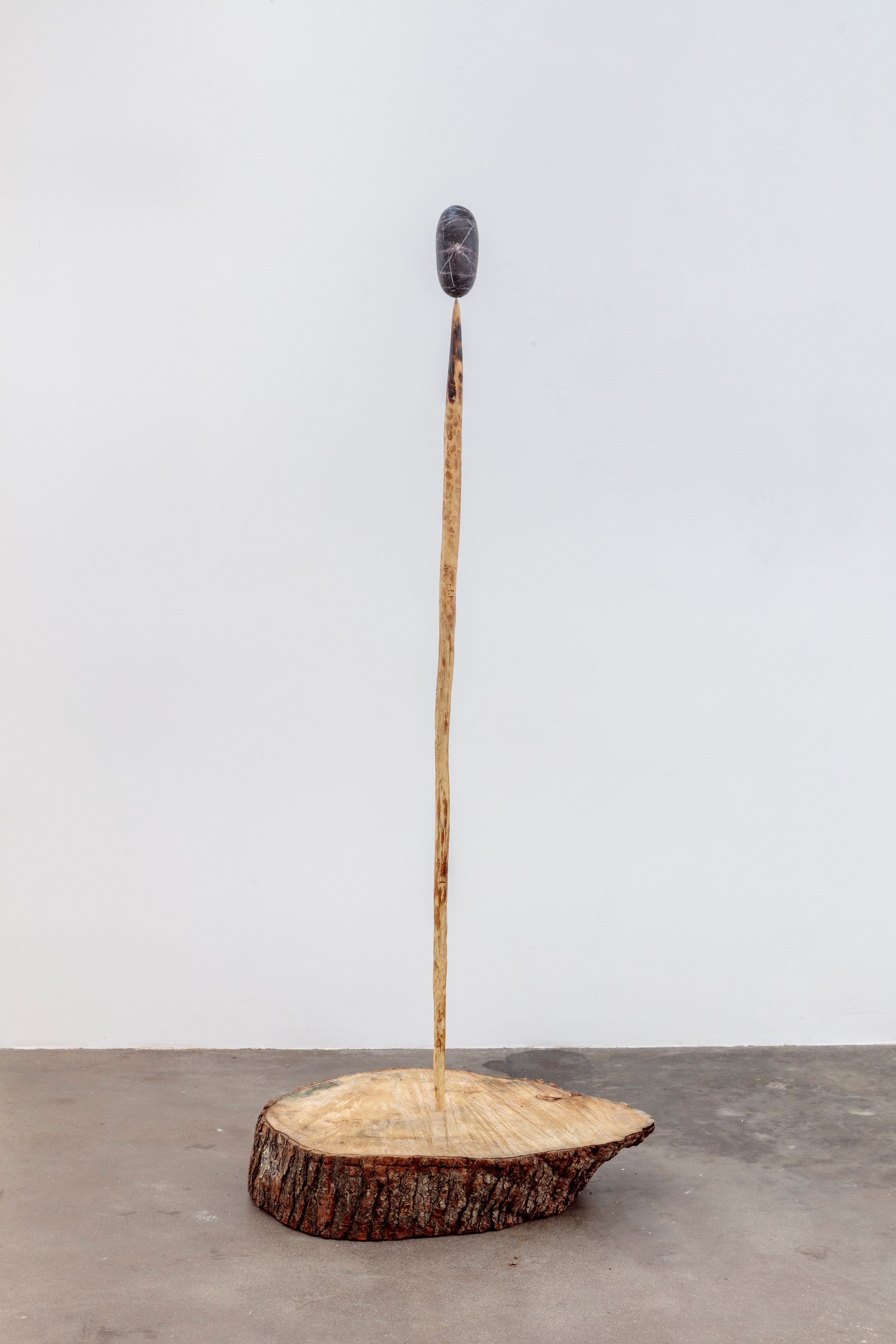 Eric Wesley, Timbuctoo at Pio Pico, photo 14