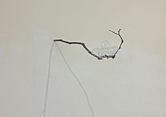 Image 10 of 15