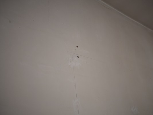 Image 8 of 41