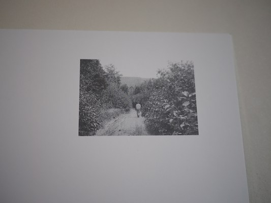 Image 17 of 41