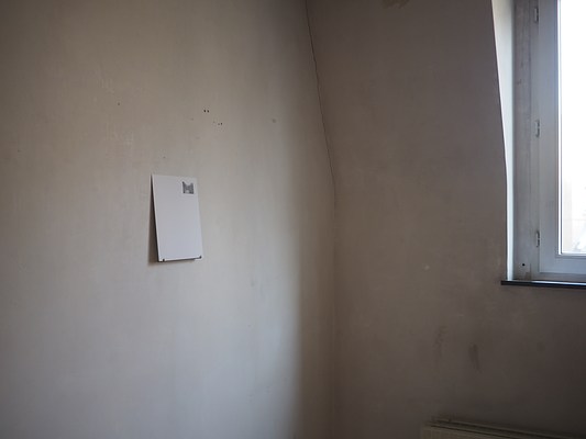 Image 20 of 41