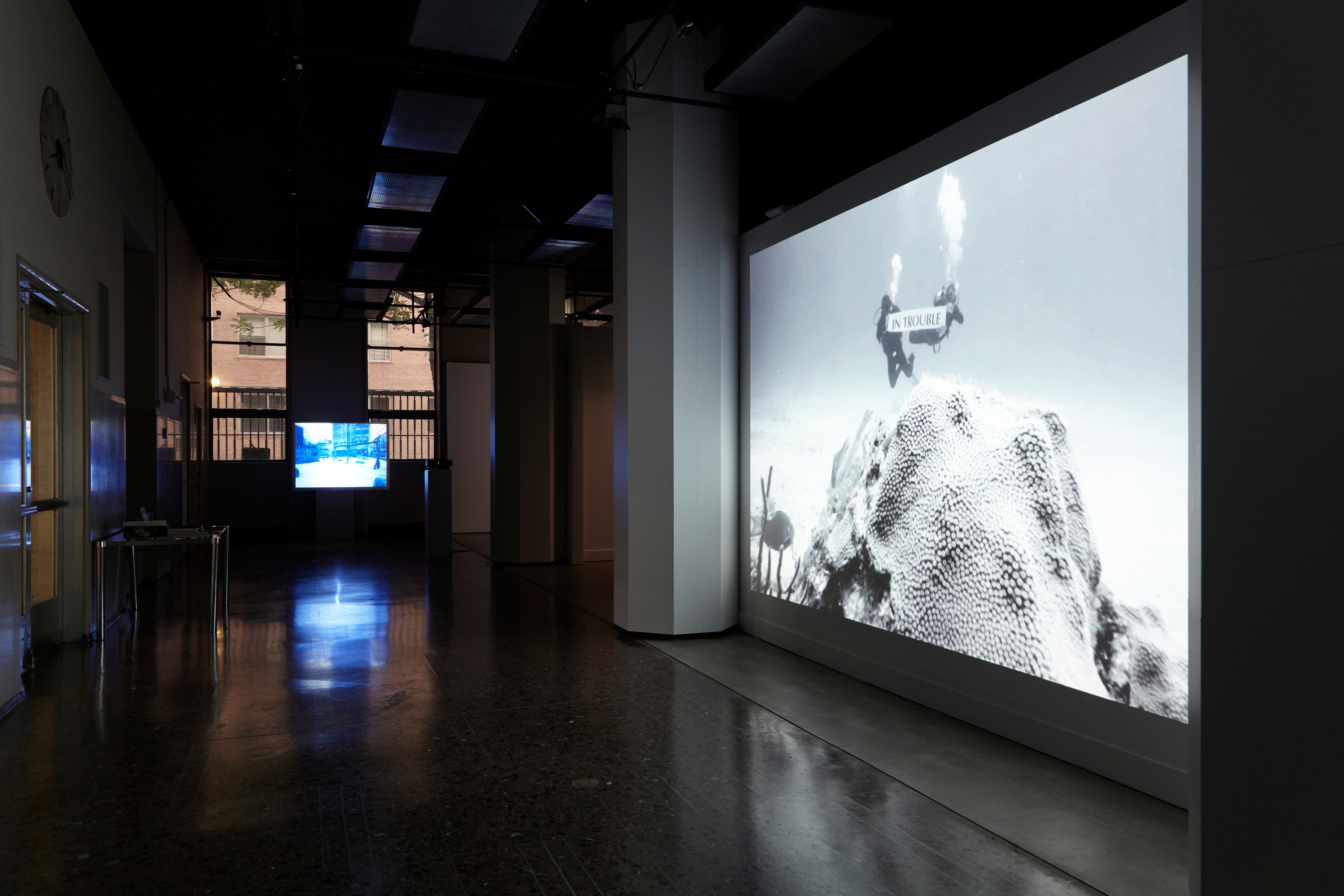 Minerva Cuevas, Disidencia at Mishkin Gallery, Baruch College, photo 2