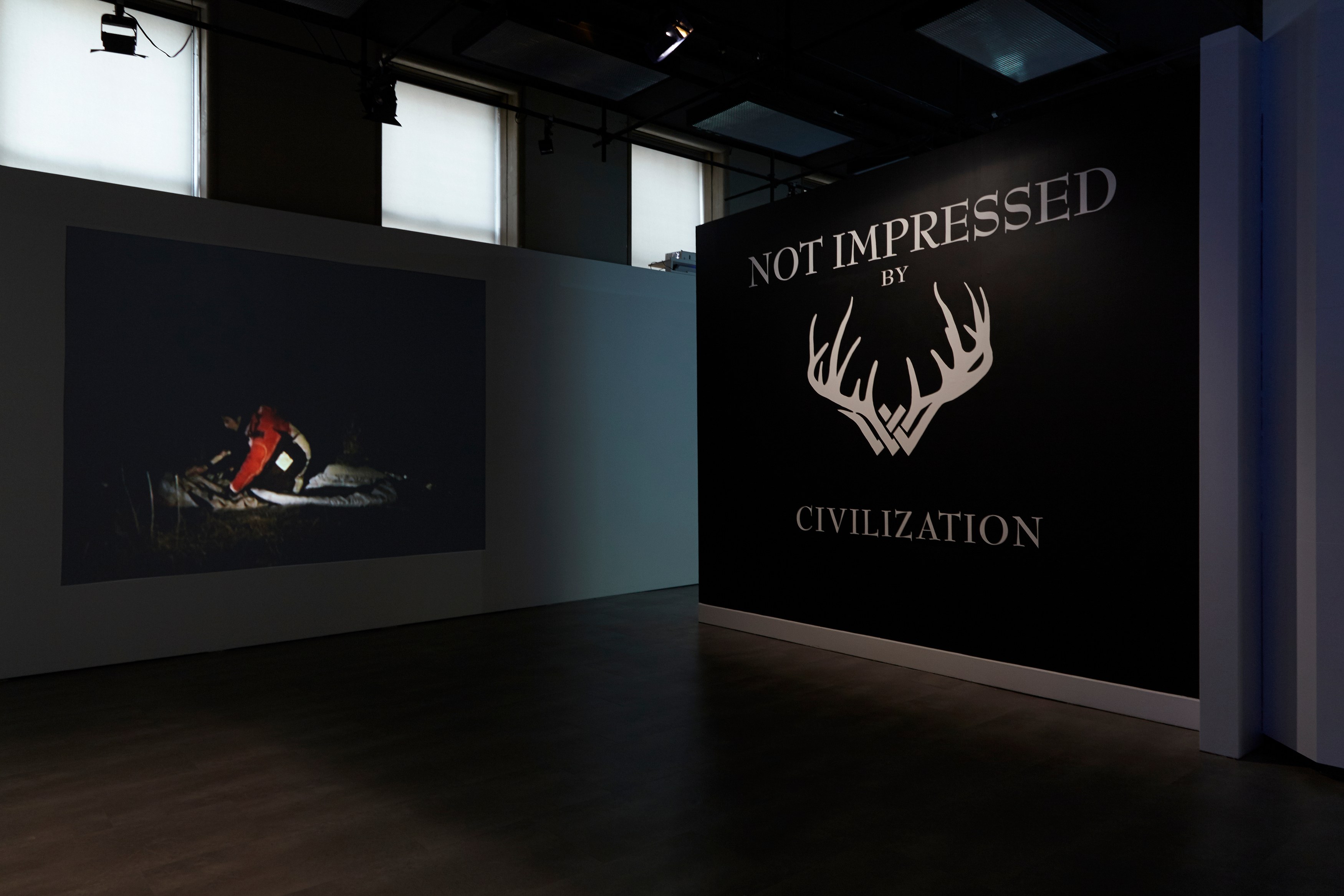 Minerva Cuevas, Disidencia at Mishkin Gallery, Baruch College, photo 4