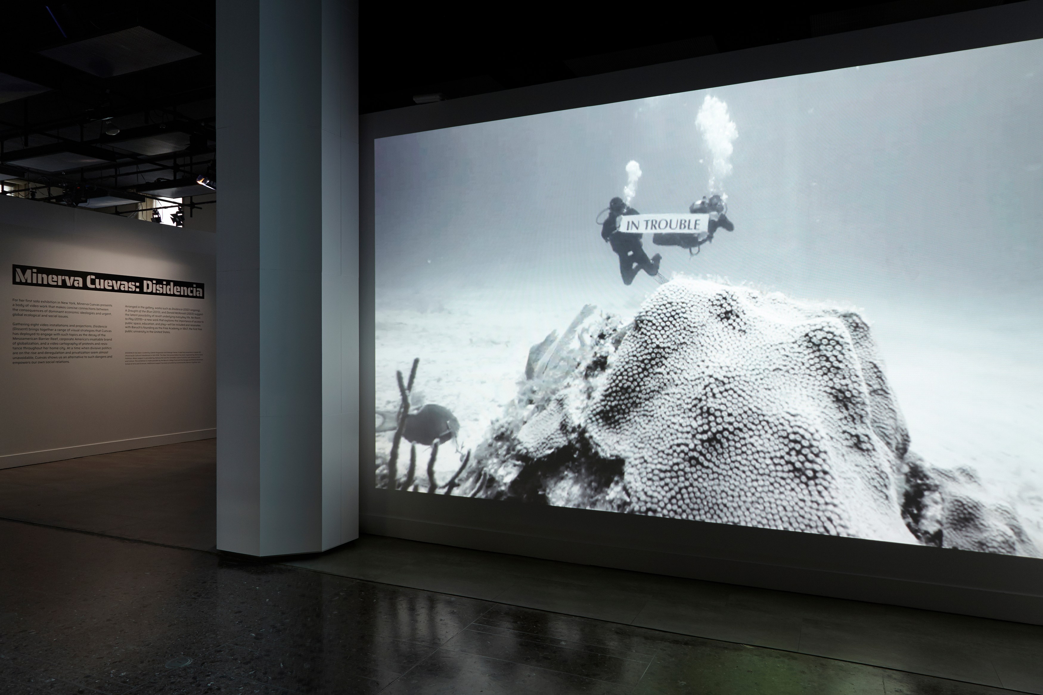 Minerva Cuevas, Disidencia at Mishkin Gallery, Baruch College, photo 3