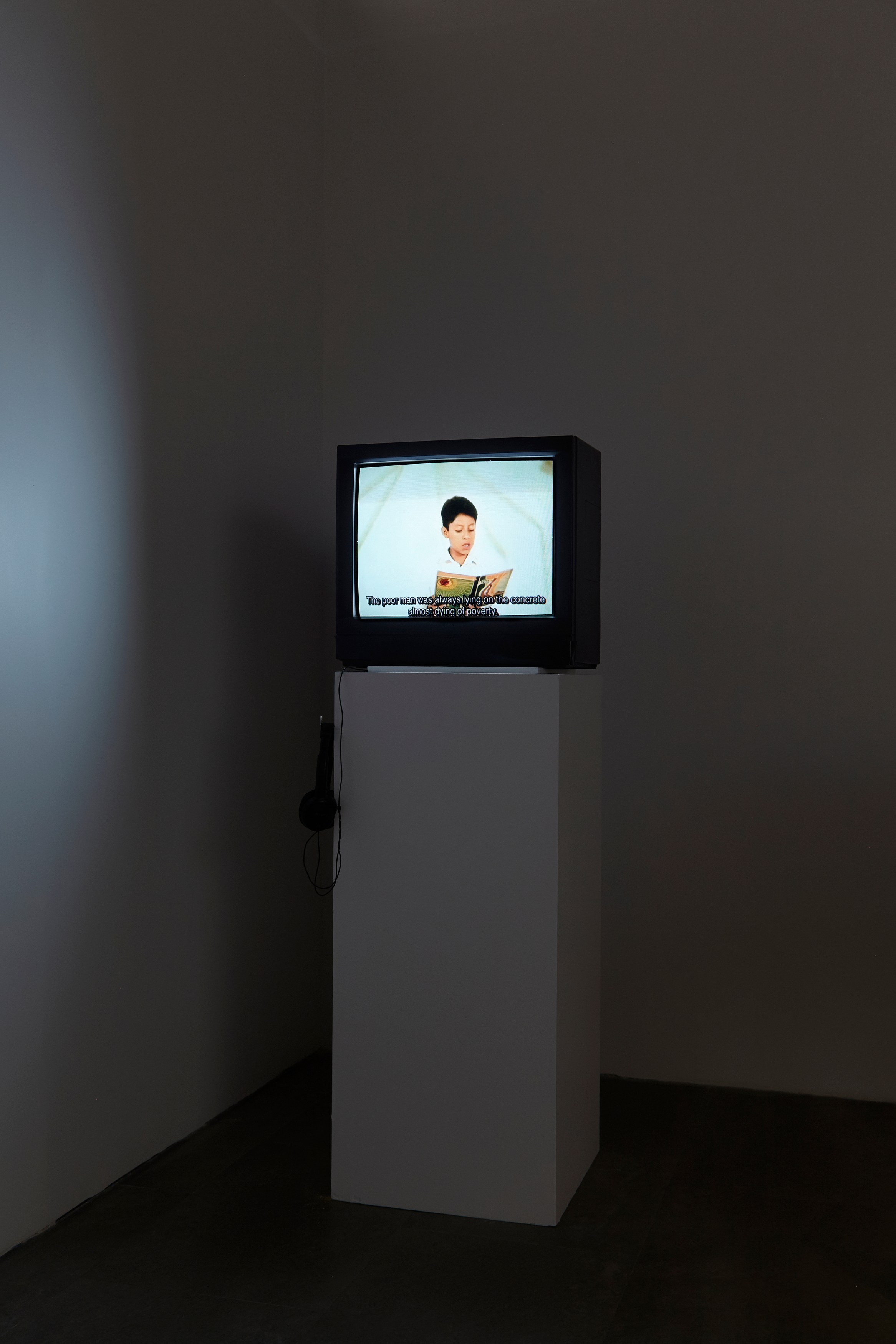 Minerva Cuevas, Disidencia at Mishkin Gallery, Baruch College, photo 6