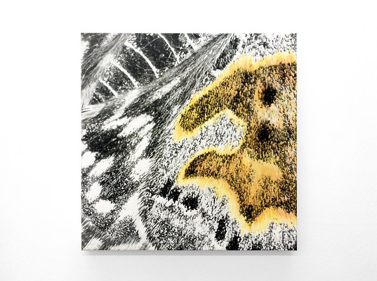 Image 7 of 20