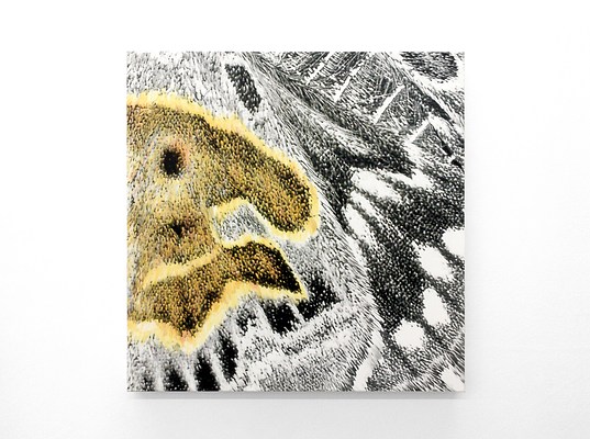 Image 9 of 20