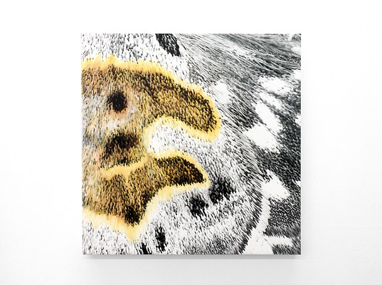 Image 10 of 20