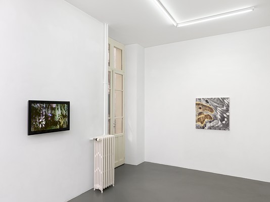 Image 15 of 20