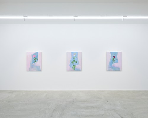 Image 7 of 16