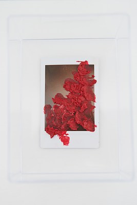 Image 7 of 10