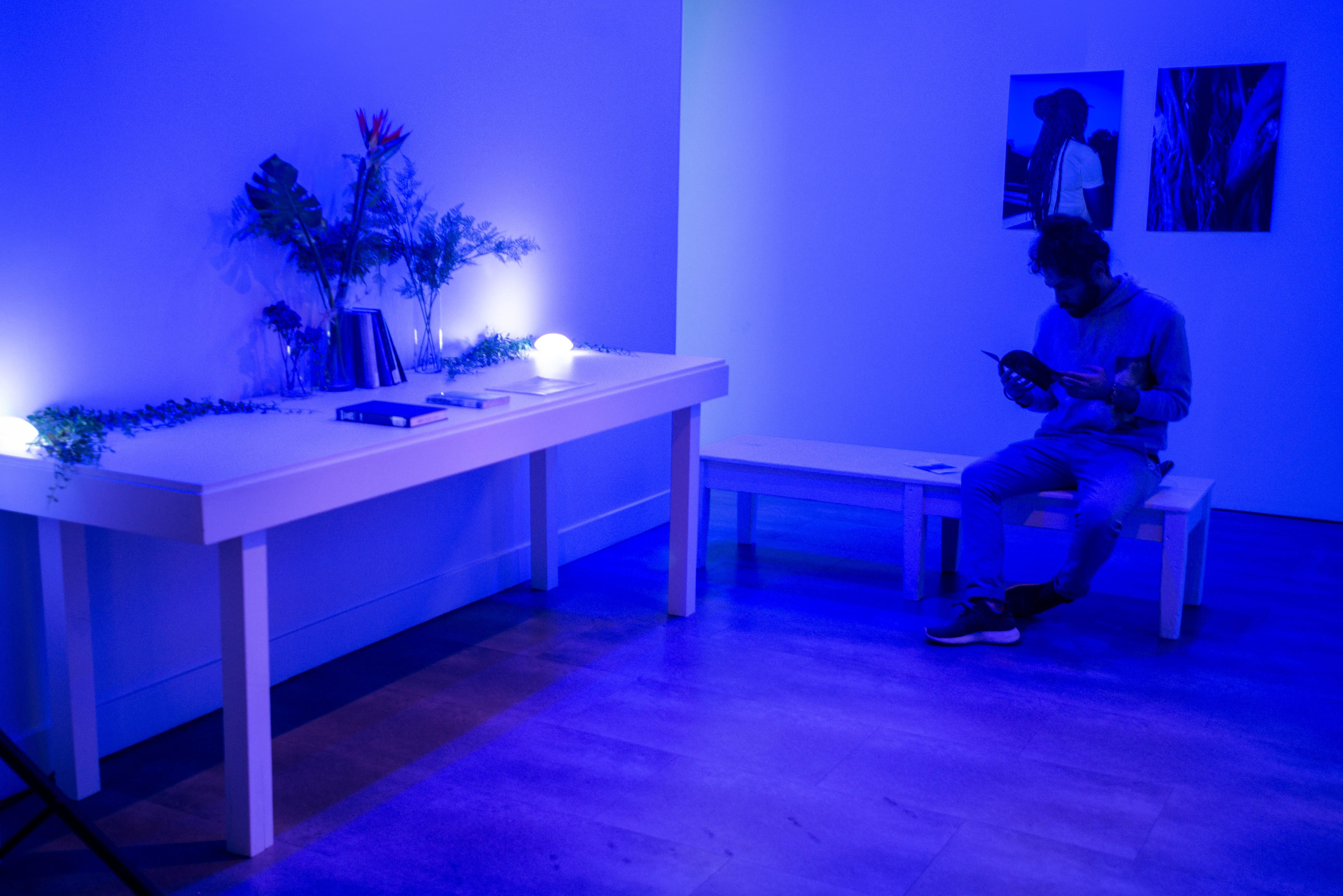 Lamin Fofana, BLUES at Mishkin Gallery, Baruch College, photo 7
