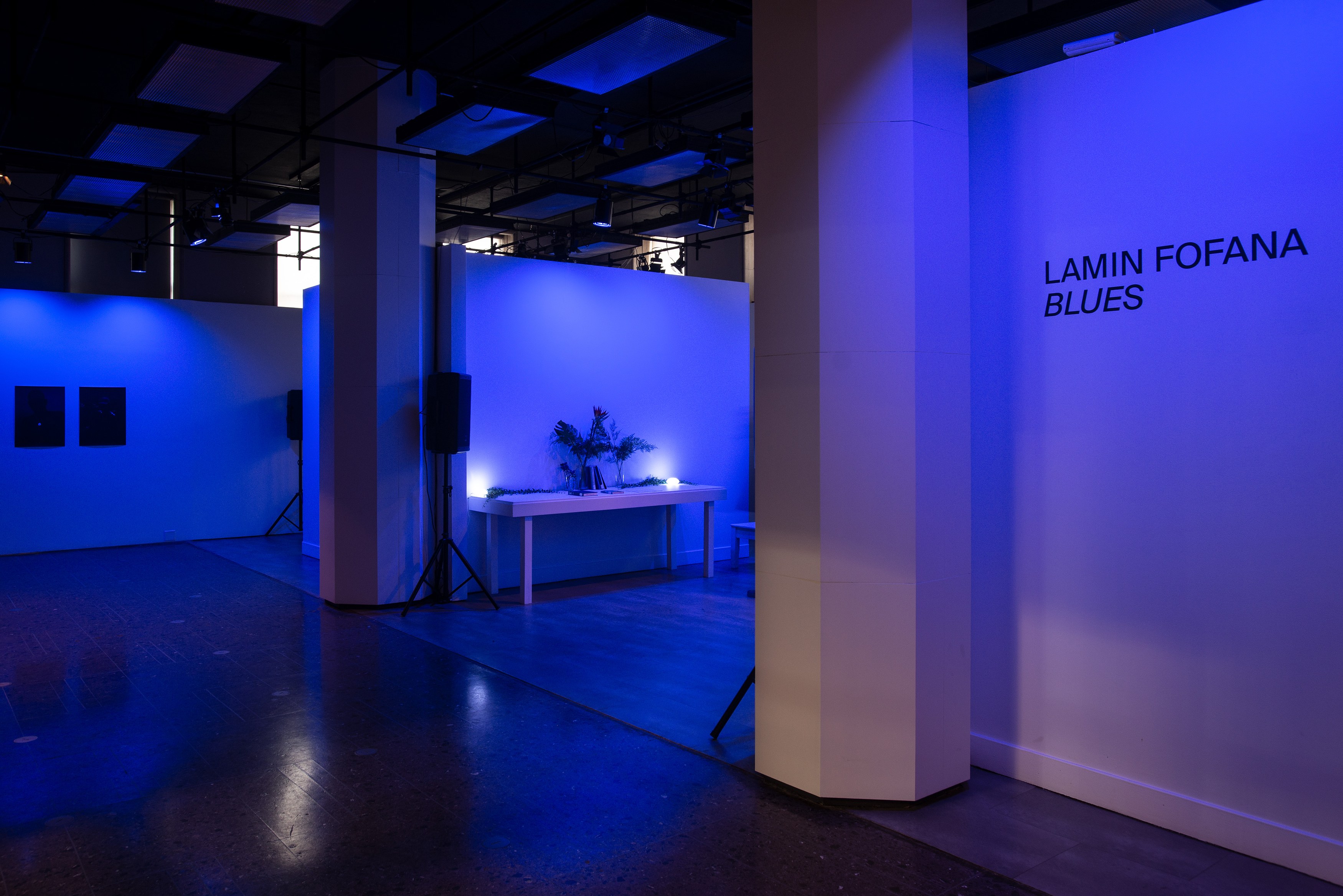 Lamin Fofana, BLUES at Mishkin Gallery, Baruch College, photo 2