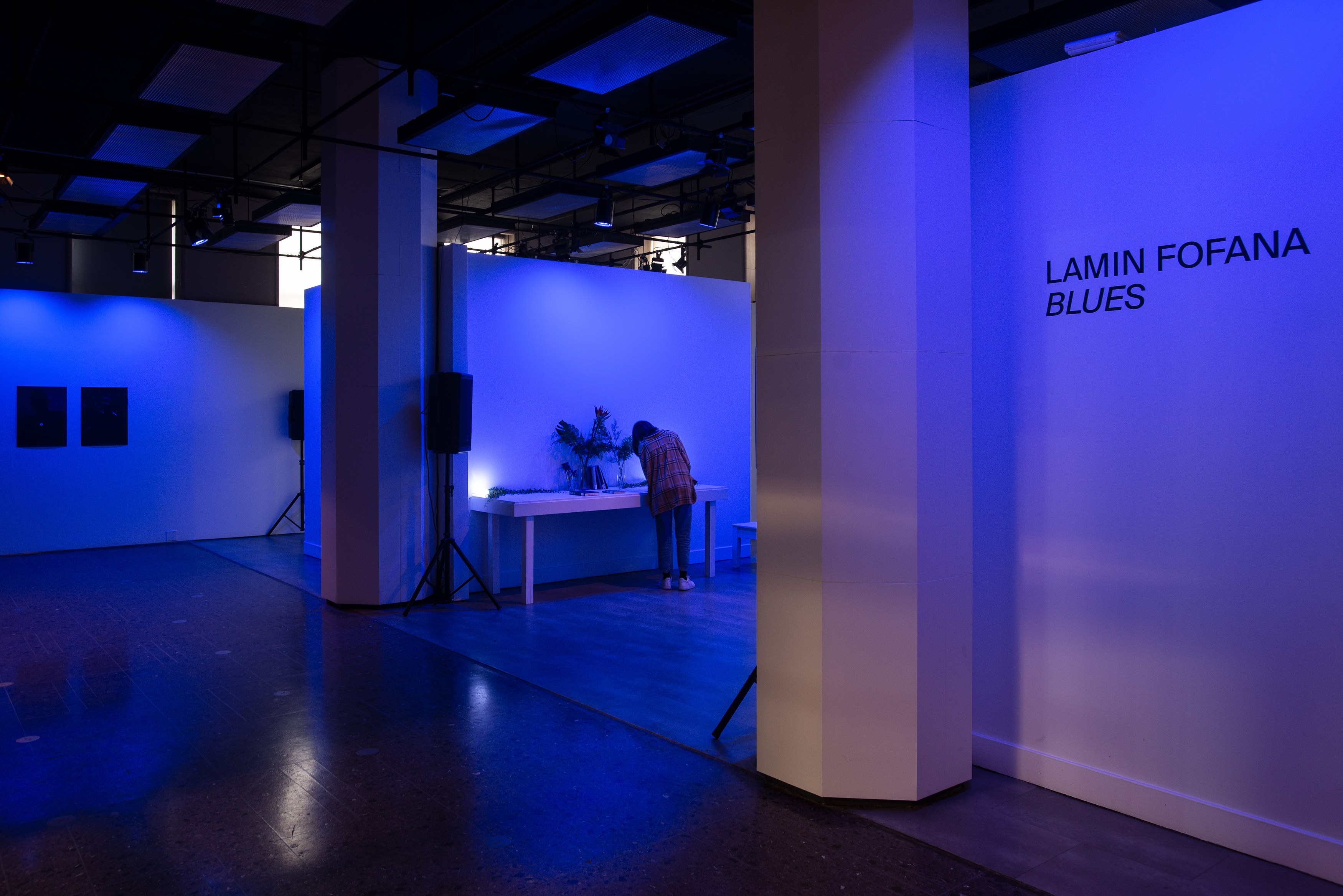 Lamin Fofana, BLUES at Mishkin Gallery, Baruch College, photo 3
