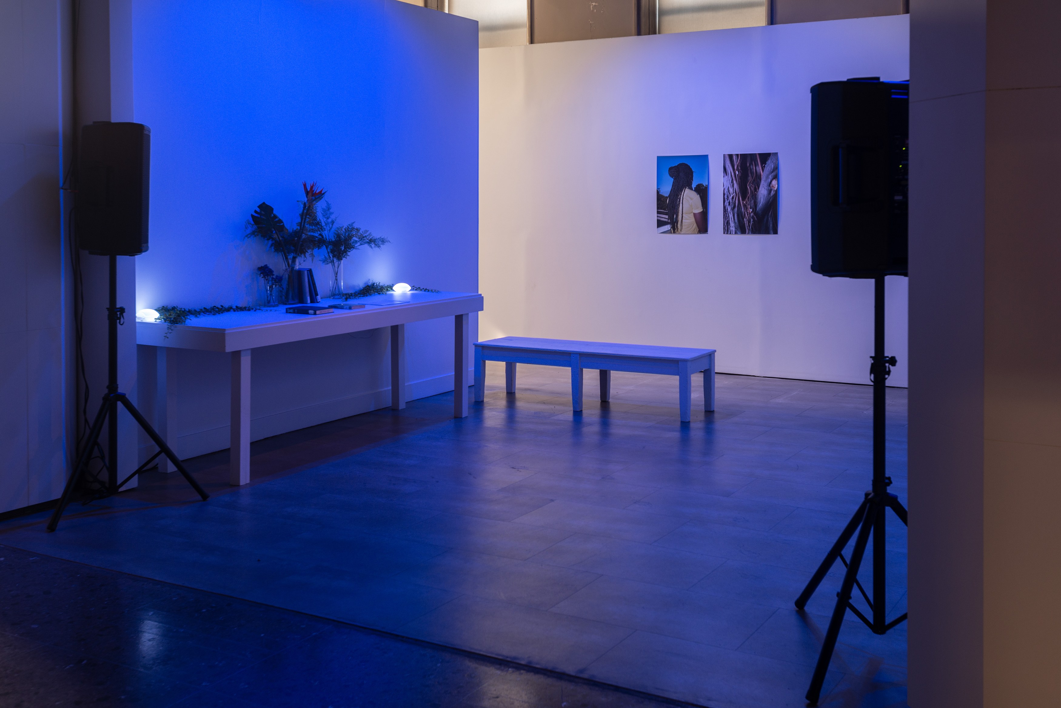Lamin Fofana, BLUES at Mishkin Gallery, Baruch College, photo 5