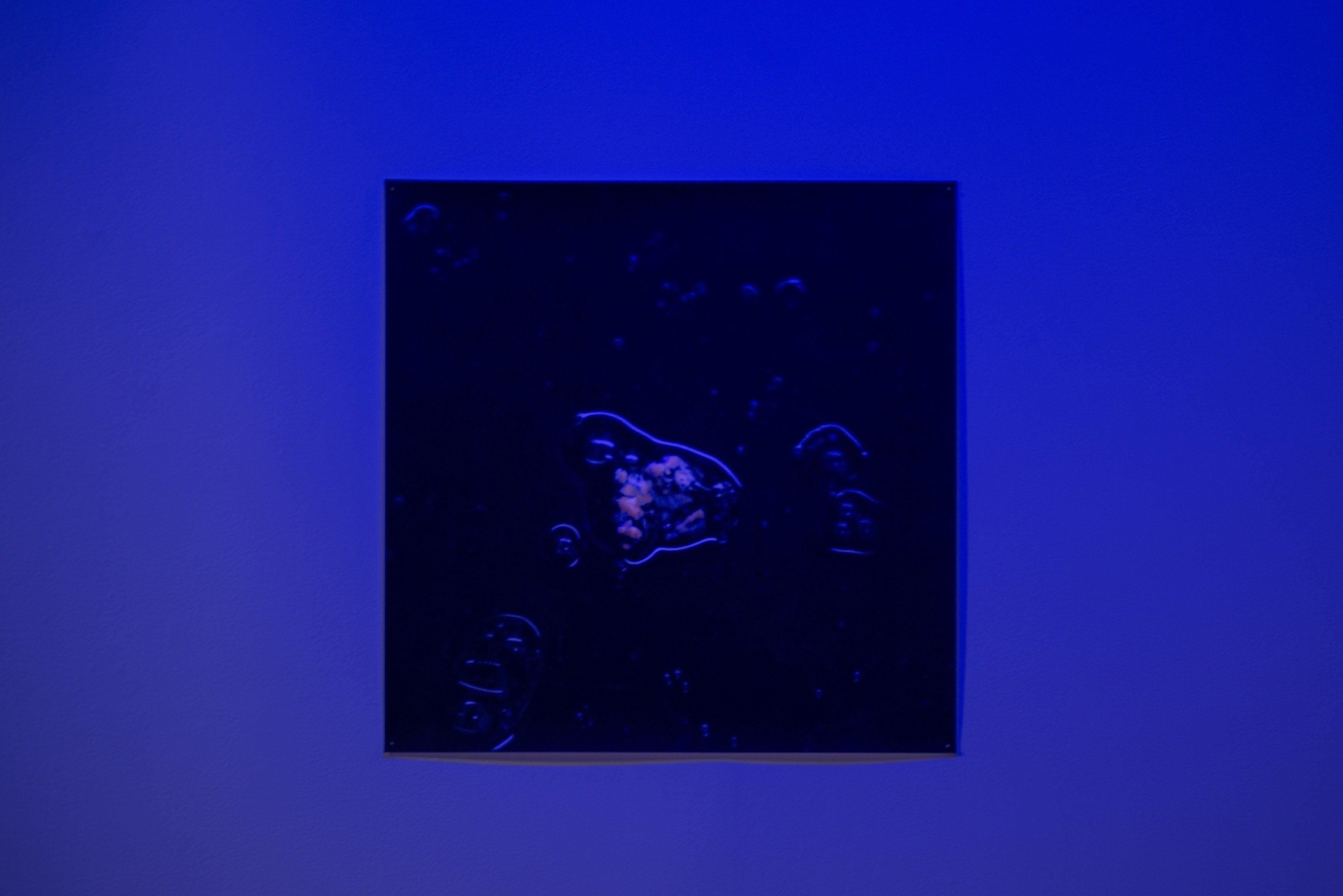 Lamin Fofana, BLUES at Mishkin Gallery, Baruch College, photo 10