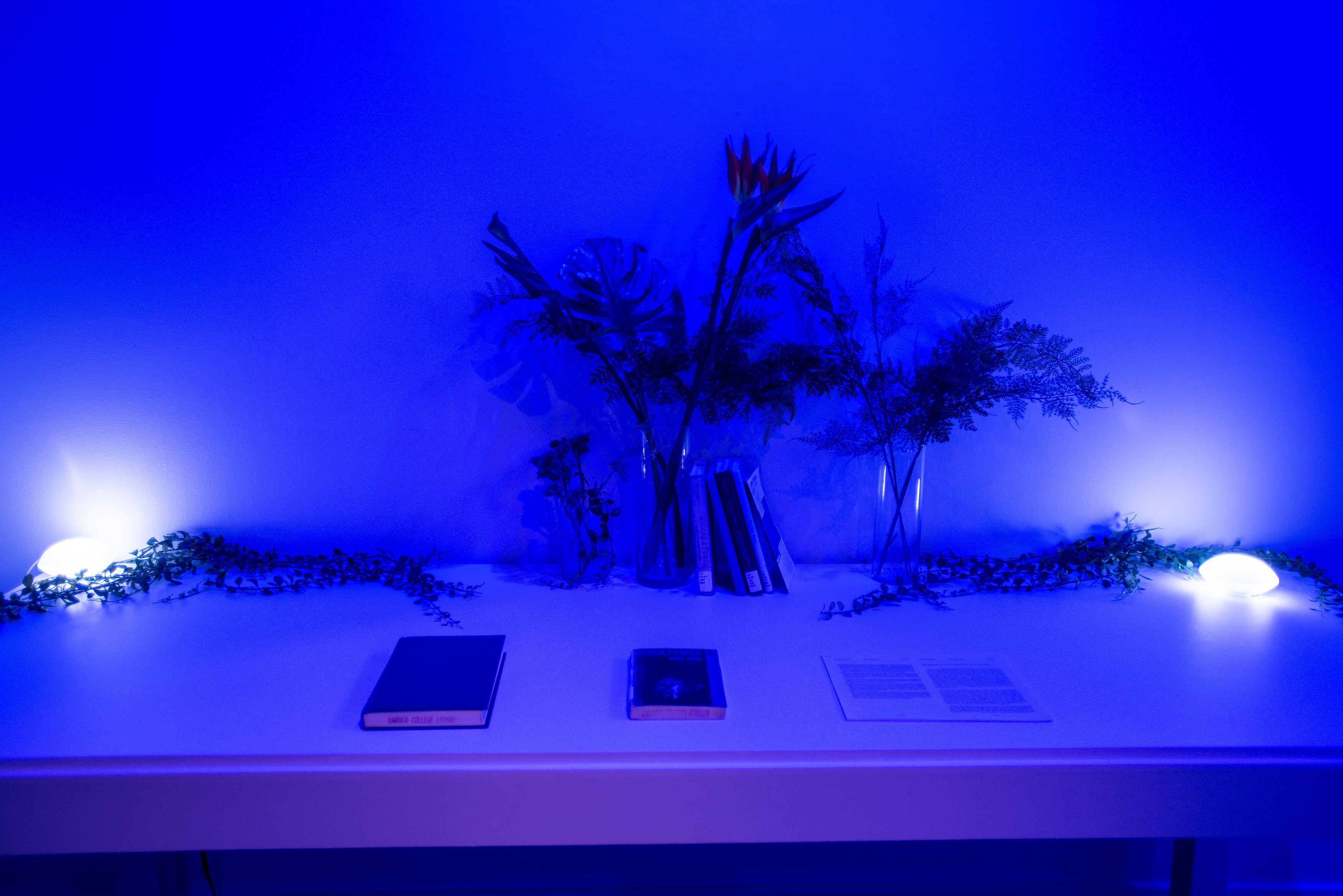 Lamin Fofana, BLUES at Mishkin Gallery, Baruch College, photo 6